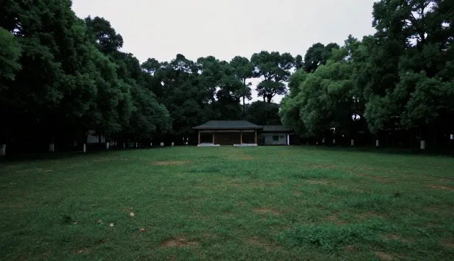 东莞微信小程序开发,如何解决企业推广难题