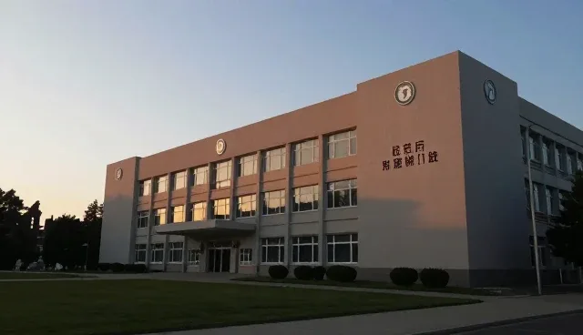 免费域名与付费域名的取舍,用户体验如何影响选择