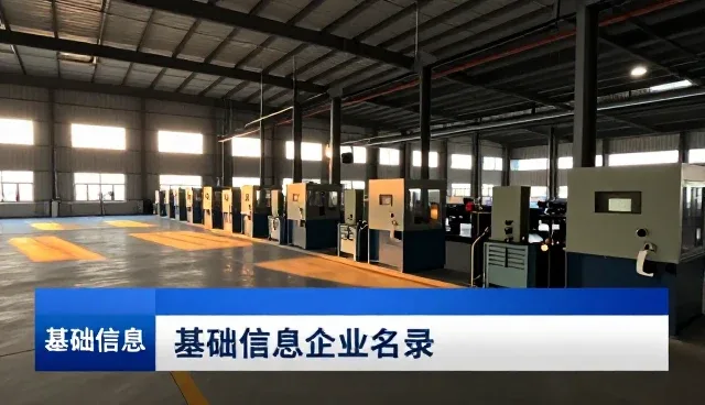 企业名录查询常见问题及解决策略
